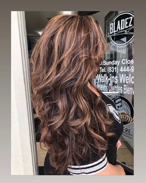 Light Chestnut Hair Color with Golden Baby Lights